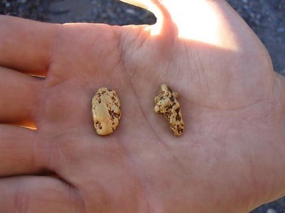 [Step-By-Step Guide] to Detect GOLD With Your Metal Detector | Detecting School