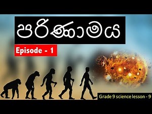 පරිණාමික ක්‍රියාවලි, Grade 9 science lesson 9, Gsg science lesson 9,