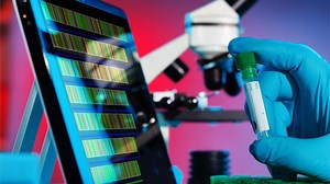 Genome Evolution: Duplication, Rearrangement & Mutation