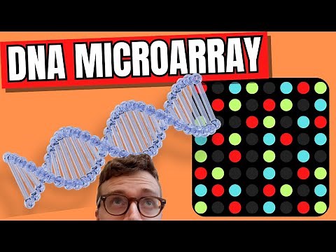 DNA Microarray Technique (DNA Chip)
