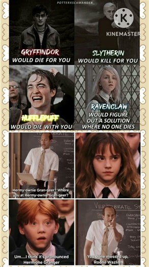 “Hogwarts Houses Logic & Classroom Name Mix-Up Meme”