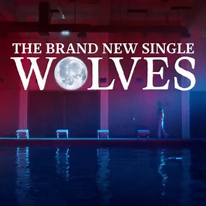 70 reactions | Wolves x Marshmello is out now.  | Selena Gomez | Facebook