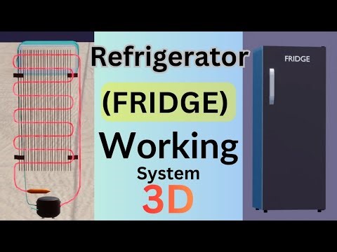How Does a Refrigerator (Fridge) Work? | 3D Animation Explained Step by Step