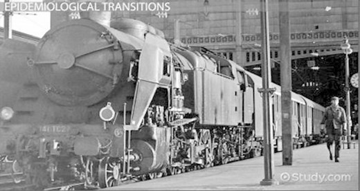 Epidemiological Transition Model | Stages & Examples