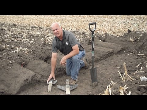 Evaluating Ripper Performance