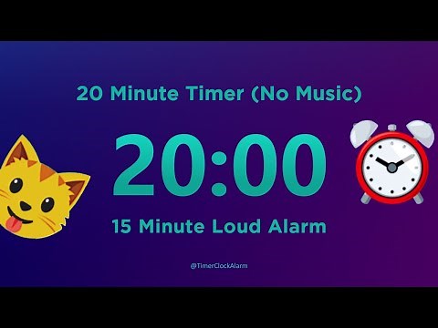 20 minute Timer