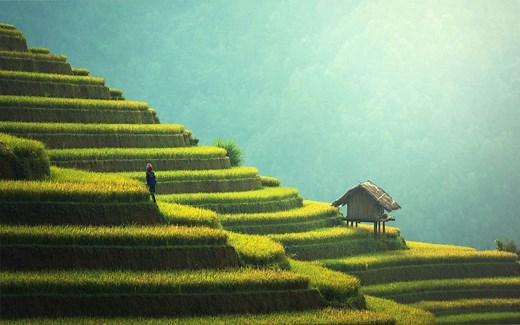 15 Places to Visit In Vietnam: Time to Visit, How to Reach