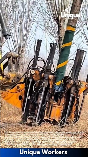 Tree spade machine: transplanting trees made easy