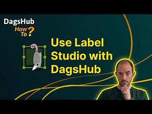 DagsHub integration with Label Studio - Demo