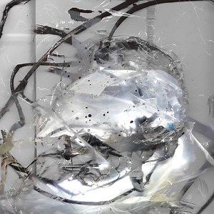 Perila Vinyl Records & CDs For Sale | Norman Records