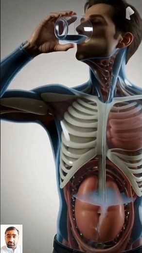A Person Digesting Water #viral #shortvideo cience