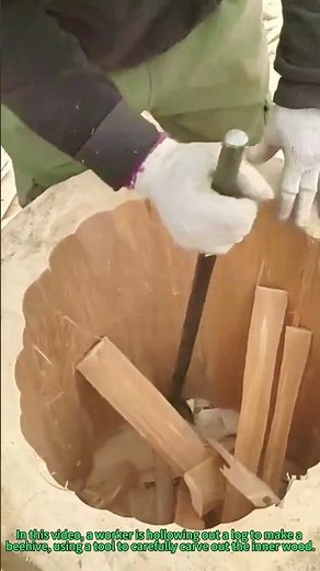 Log Beehive Making: Traditional Hollowing Technique for Wooden Bee Hives