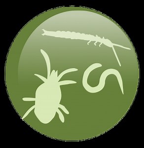 Projects — Global Soil Biodiversity Initiative