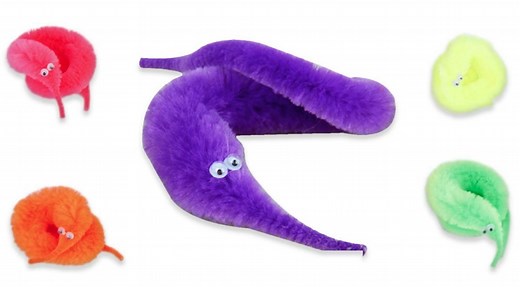 Worm On A String | Know Your Meme