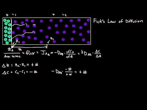 Fick's First Law of Diffusion