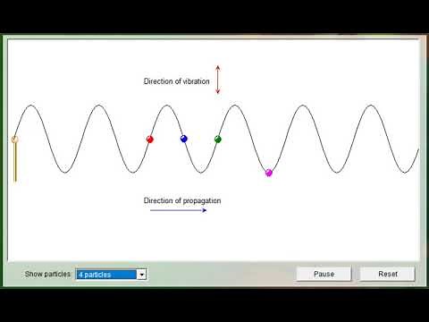 Transverse waves animation