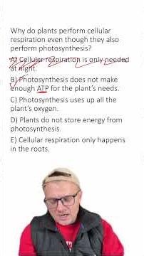 MCQ: Cellular Respiration