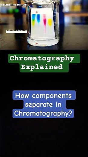 Chromatography Explained I Separation Science