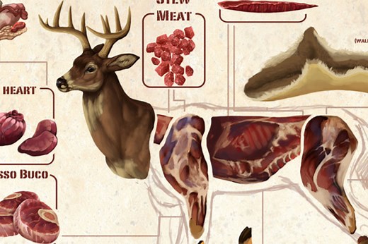 Deer Meat Guide: All the Most Common Deer Cuts and Parts