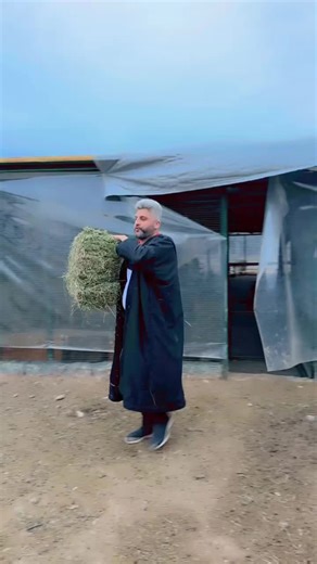 ★彡رمضان شيخاني彡★ على TikTok