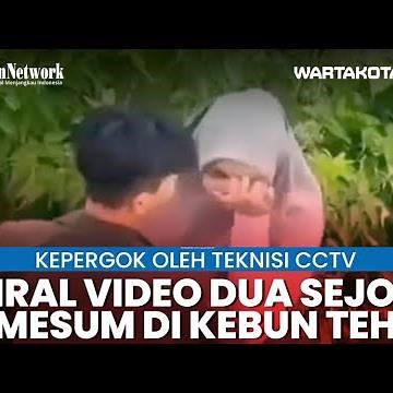 Viral Video Dua Sejoli Mesum di Kebun Teh Karanganyar, Kepergok oleh Teknisi CCTV