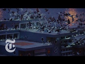 2,000 Trained Pigeons Take Flight | The New York Times