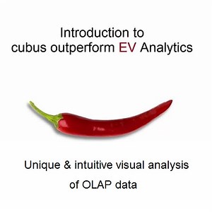 cubus Performance AL (EV) - Decision Systems