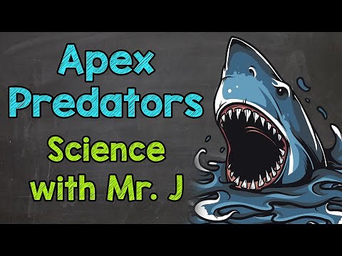 Apex Predators | Ecosystems