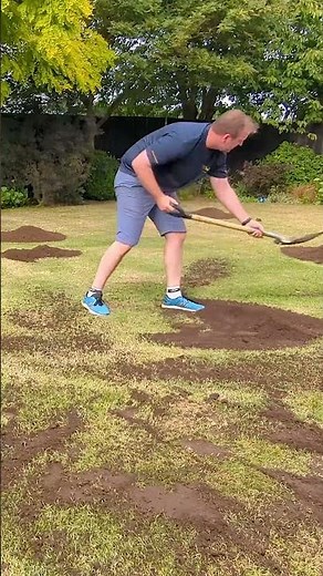 Reviving Your Lawn: Topsoil Makeover!