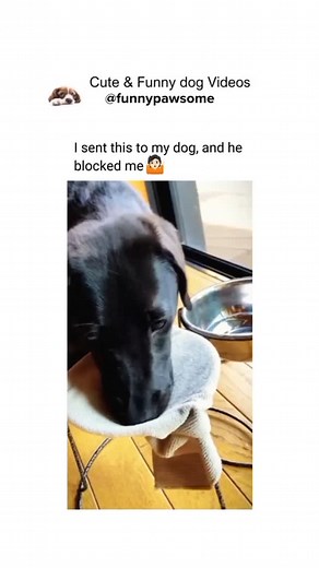 11K reactions · 557 shares | Want to earn a million in 2024? Here are...