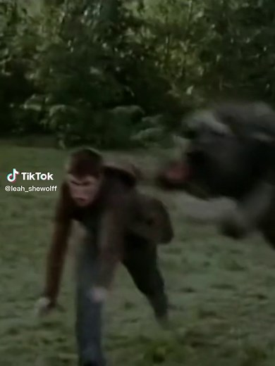 Twilight Embry Call Transformation Video