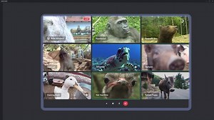 16K views · 519 reactions | Server Video is out now to everyone on desktop, web, iOS, and soon on Android. We wrote some feel-good words on how server video came to be (hint: you made it happen!): https://dis.gd/sayhi2servideo | Discord | Facebook