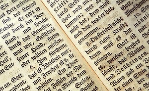 Revitの文字の書き方を解説します｜BIM CHANNEL BLOG