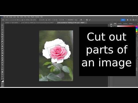 How to use the lasso tool in photoshop