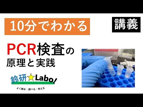 10分でわかる PCR検査の原理と実践