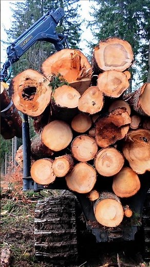 "John Deere 1510G in Action: Efficient Timber Forwarding 🚜🌲