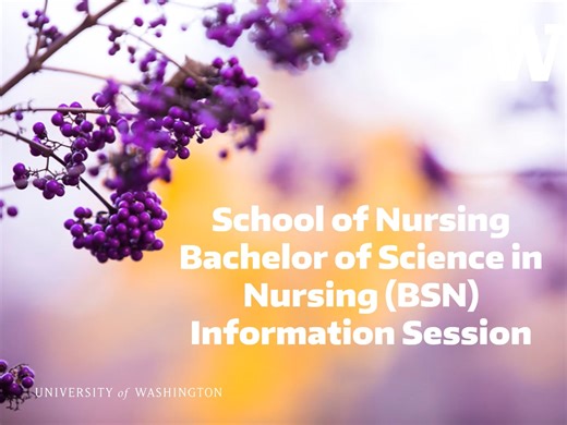Bachelor of Science in Nursing (BSN) Information Session