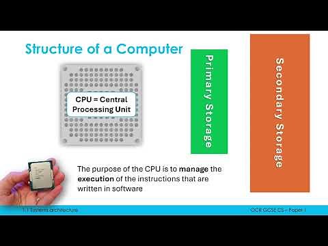 The Purpose of the CPU and its Components