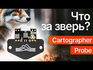 What kind of beast is Cartographer Probe?