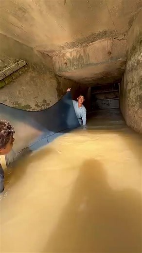 Exploring the Fascinating World of Fish