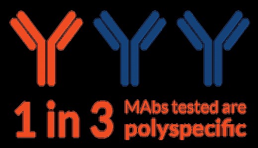 Membrane Proteome Array – Comprehensive Specificity Testing