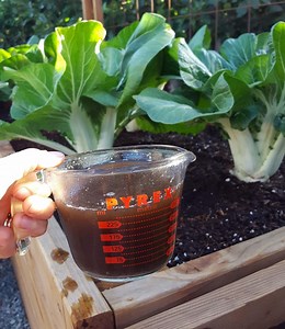 How to Make Compost Tea to Fertilize Your Garden (Aerated)