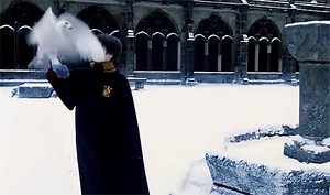 297K views · 263 reactions | Did you know you can share your favorite...