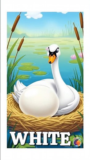 spell w-h-i-t-e || spelling of white || learn spelling of white #staylittlechannel