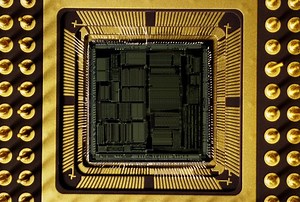 The Similarities between the Human Brain and a CPU | Techwalla