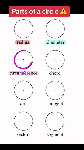 Parts of a Circle Explained: Radius, Diameter, Circumference, Chord, Arc, Tangent, Sector, Segment