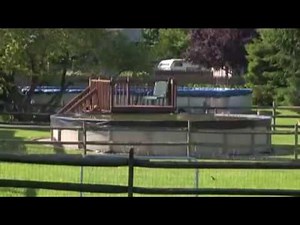 Wayne Automatic Pool Cover Pump - 3000 GPH, Model# WAPC250