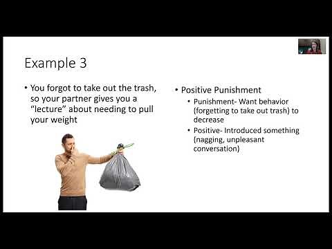 Operant Conditioning- Positive & Negative Reinforcement, Punishment