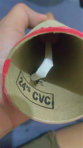 Crying Cow #foryou #pyrotechnica #fireworks #rocketfireworks #crackers