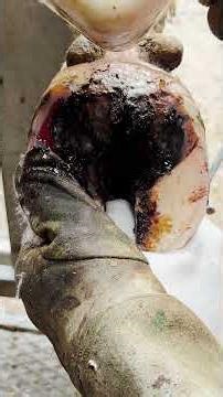 The Worst Hoof Abscess EVER